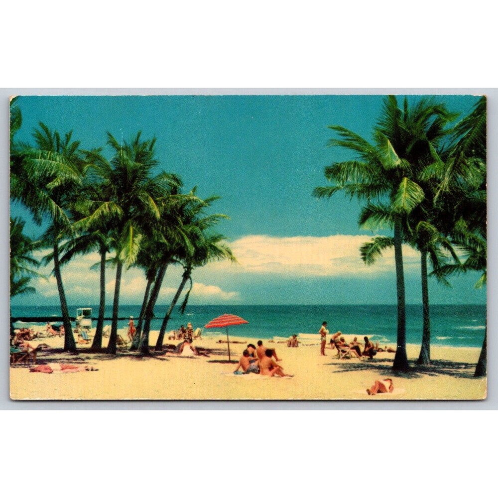 Vintage Postcard FL Florida Beach Scene Palm Trees Sunbathers Ocean Umbrella 50s